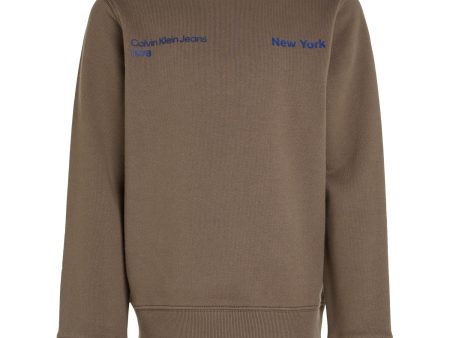 Calvin Klein Falcon Terry Graphic Cn Sweatshirt Online Sale