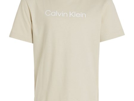 Calvin Klein Pelican Inst. Logo T-Shirt For Discount